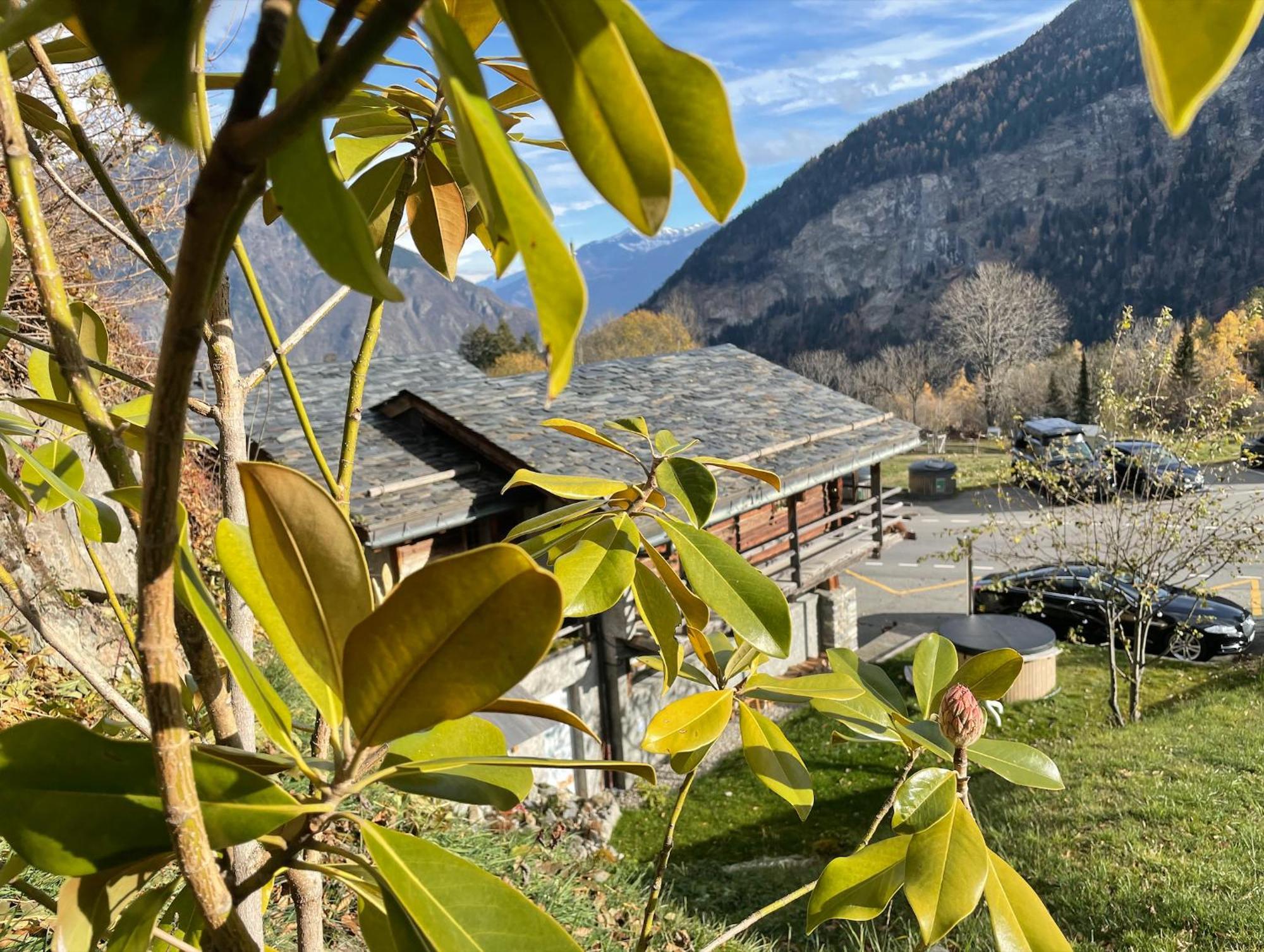 Mazot Agora & Family Trip - Ouest R+1 *